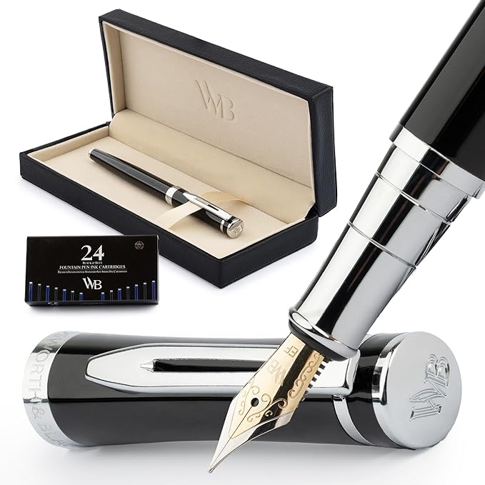 1F pen Fountain Pen